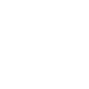 Gracie Jiu Jitsu Phoenix